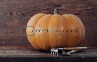 Pumpkin on the wooden background