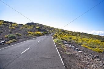 rural road at La Palma