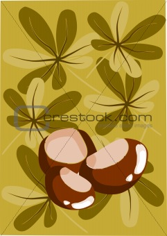 Three chestnut and autumn background - vector