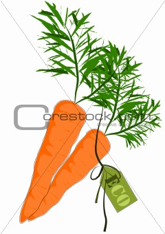 Big and health orange carrot - Vector