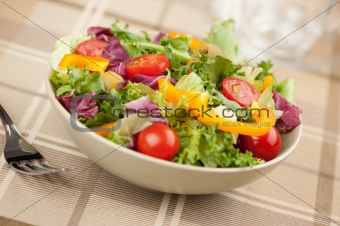 healthy vegetables salad
