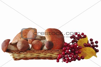 Mushrooms and berries 