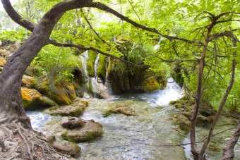 Small river, Plitvicka Lake - Croatia