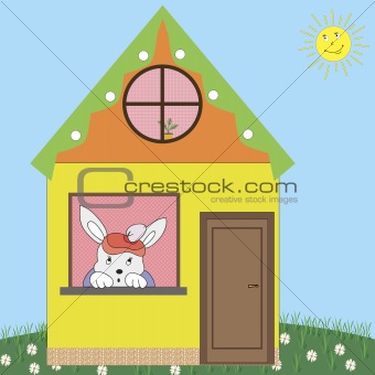 house rabbit