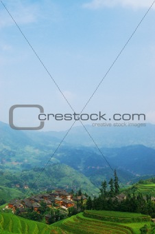 China rural field landscape