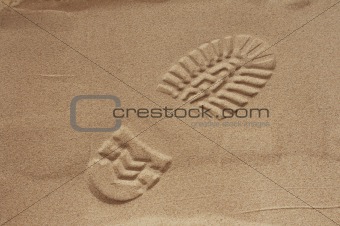 imprint of shoe