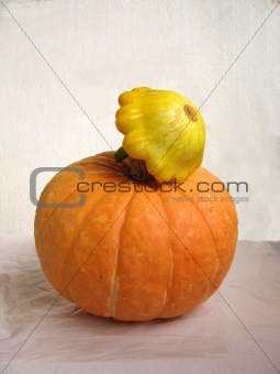squash and pumpkin