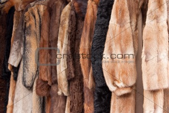 Animal fur coats
