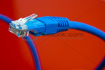 close up of the ethernet cable
