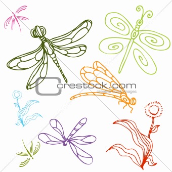 Dragonfly Drawing Set