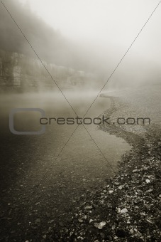 Foggy River Bottom