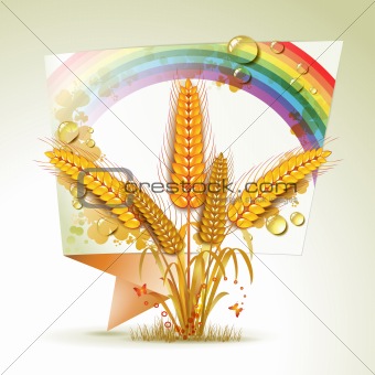 Background with wheat ears
