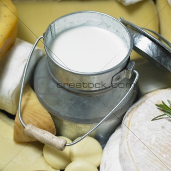cheese still life with milk