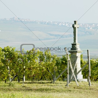 cross with vineyard, Southern Moravia, Czech Republic