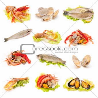 shellfish and fish