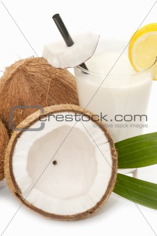  coconuts 