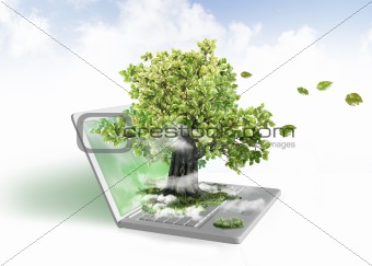 Green energy from laptop