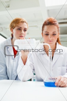 Portrait of scientists doing an experiment