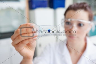 Scientist looking at a microscope slide