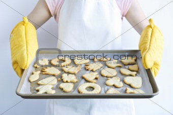 Freshly baked cookies