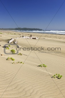 Sandy beach on Pacific ocean in Canada