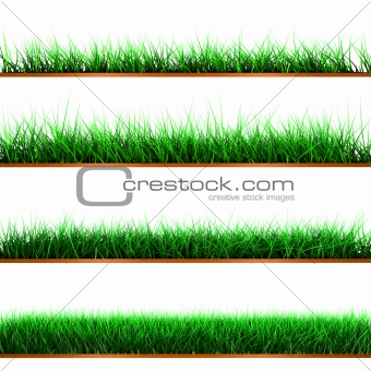 Samples of green color grass