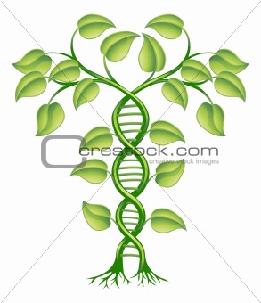DNA plant concept