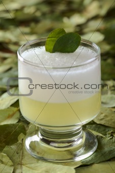 Peruvian Cocktail Called Coca Sour