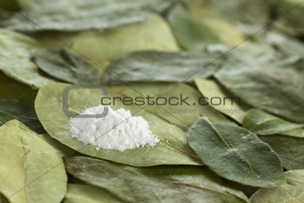 Cocaine on Coca Leaves