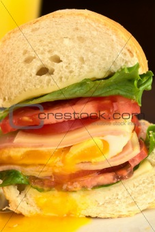 Sandwich with Fried Egg