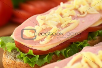 Open Sandwich with Grated Cheese