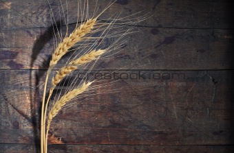 Wheat On Wood