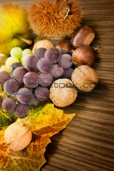 Set of autumn fruit