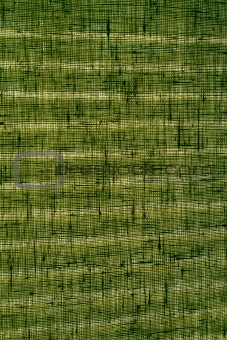 Green woven curtain