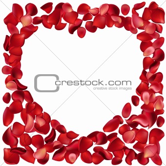 Blank frame made of rose petals