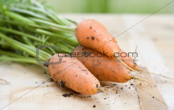Fresh carrots on wooden board