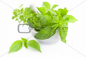 Fresh herbs whith mortar and pestle / isolated on white