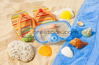 Seashells and diving mask on the ocean beach