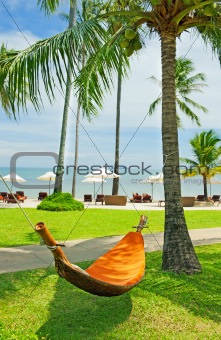 Empty hammock between palm trees