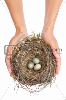 Young woman holding blackbird nest over white background