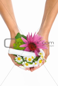 Young  woman holding mortar with herbs - Echinacea, ginkgo, chamomile