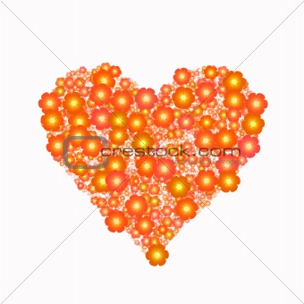 bright orange flowers in heart shape