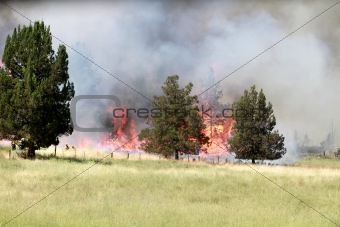 Lightning Strike Fire on Farmland