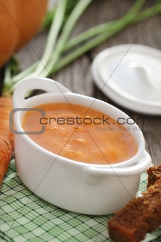 Bowl of the vegetable soup 