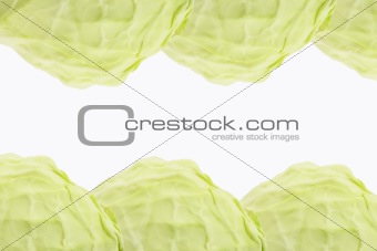 Background pattern of cabbage