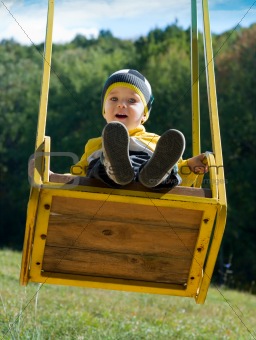 Cute little boy on a swing