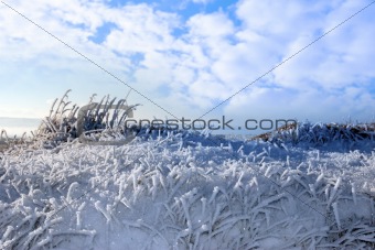 frosty snow covered grass ditch