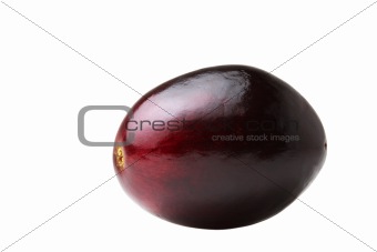 isolated grape