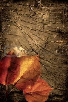 Grunge autumn background