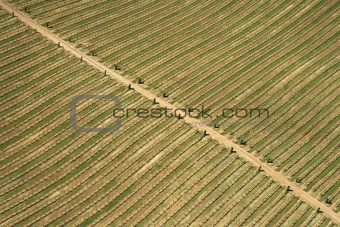 Farm aerial.